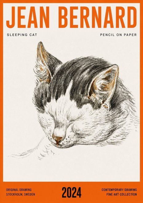 Jean Bernard Sleeping Cat V No4 - Plakat