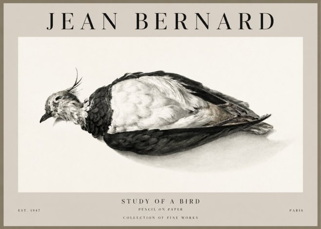 Jean Bernard Study of a Bird II No1 - Plakat
