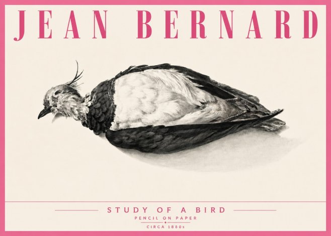Jean Bernard Study of a Bird II No6 - Plakat