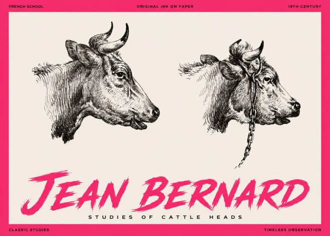 Jean Bernard Studies of Cattle Heads No3 - Plakat