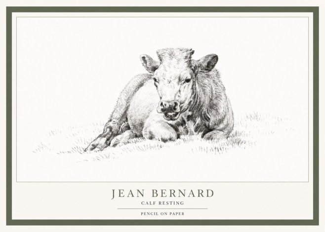 Jean Bernard Calf Resting No1 - Plakat