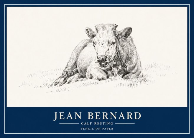 Jean Bernard Calf Resting No3 - Plakat