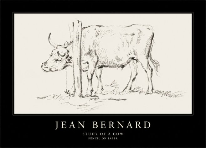Jean Bernard Study of a Cow VII No4 - Plakat