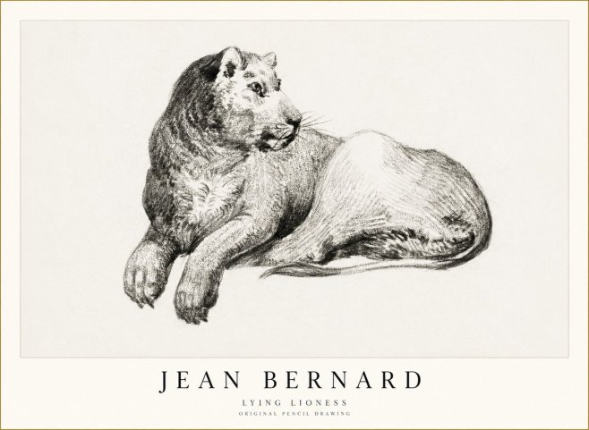 Jean Bernard Lying Lioness No1 - Plakat