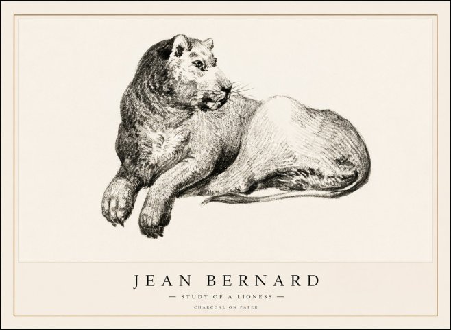 Jean Bernard Lying Lioness No2 - Plakat