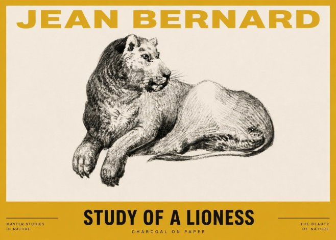Jean Bernard Lying Lioness No4 - Plakat