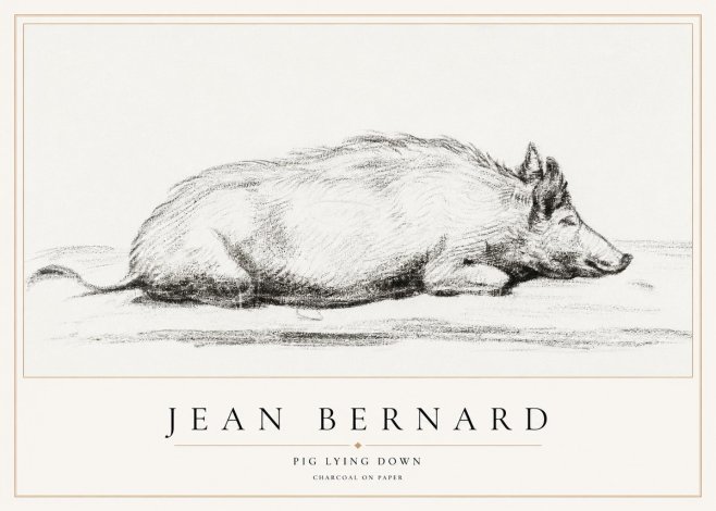 Jean Bernard Resting Pig I No2 - Plakat