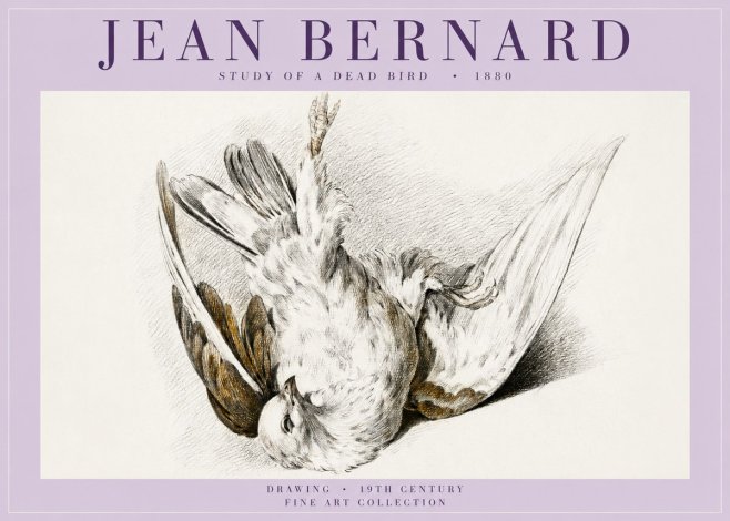 Jean Bernard Study of a Dead Bird No5 - Plakat
