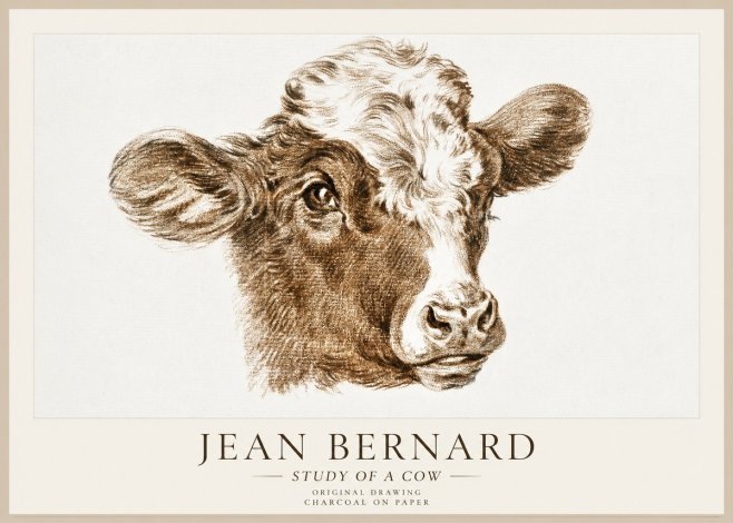 Jean Bernard Study of a Cow VIII No1 - Plakat