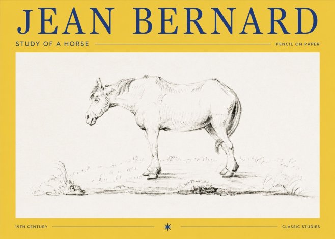 Jean Bernard Study of a Horse IX No2 - Plakat