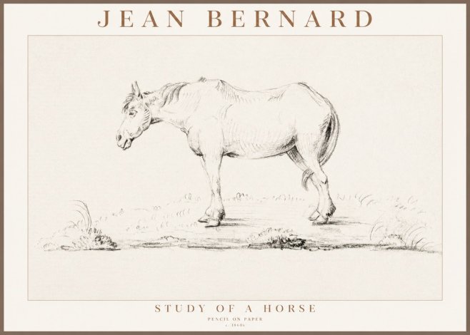 Jean Bernard Study of a Horse IX No3 - Plakat