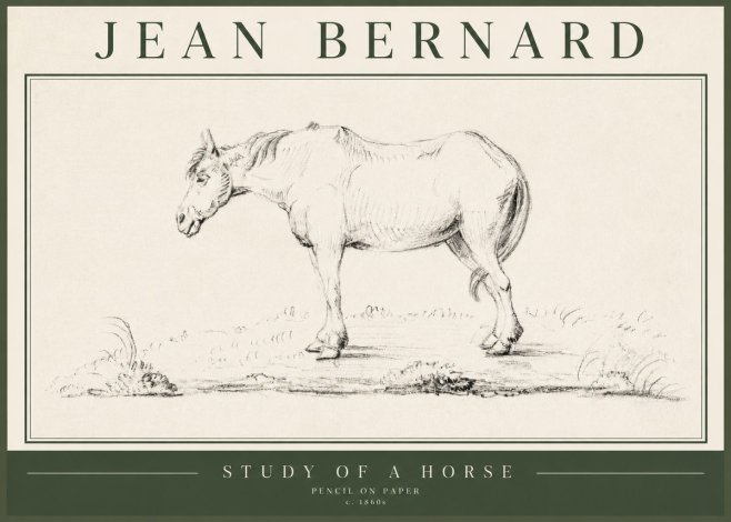 Jean Bernard Study of a Horse IX No5 - Plakat