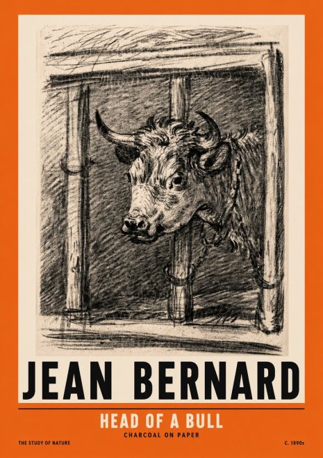 Jean Bernard Study of a Bull II No3 - Plakat