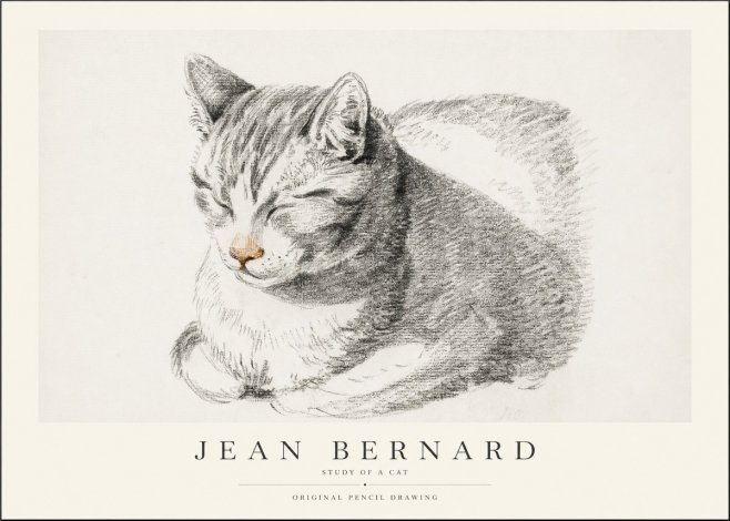 Jean Bernard Sleeping Cat VI No2 - Plakat