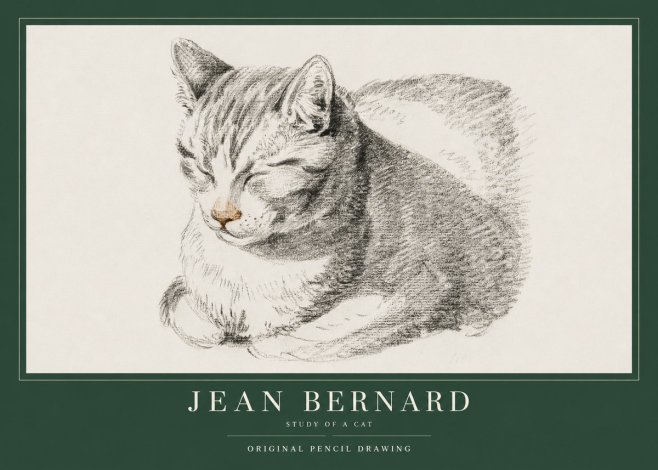 Jean Bernard Sleeping Cat VI No4 - Plakat