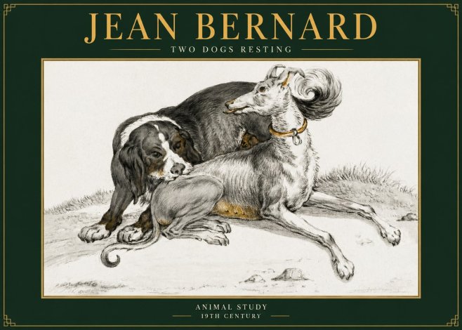 Jean Bernard Two Dogs Resting No5 - Plakat