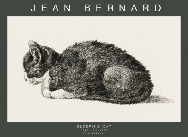 Jean Bernard Sleeping Cat VII No1 - Plakat