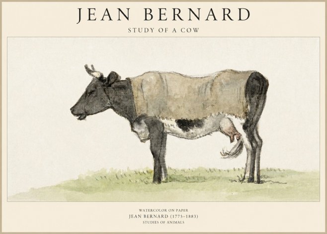 Jean Bernard Study of a Cow IX No6 - Plakat