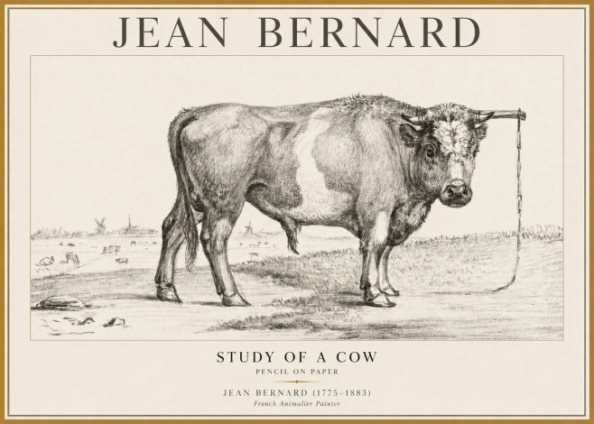 Jean Bernard Study of a Bull III No5 - Plakat