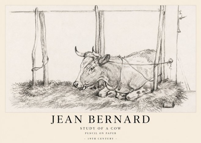 Jean Bernard A Resting Cow No2 - Plakat
