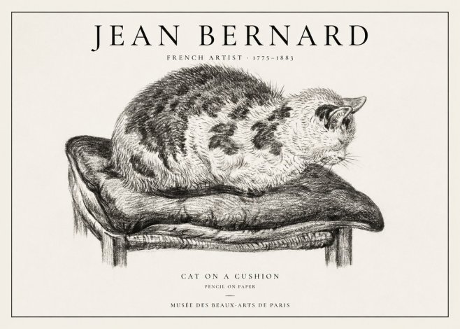 Jean Bernard Cat on a Cushion No1 - Plakat