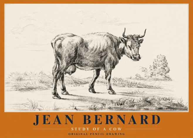 Jean Bernard Study of a Cow XII No2 - Plakat
