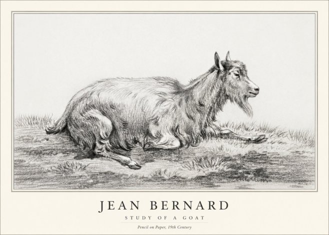 Jean Bernard Study of a Goat V No1 - Plakat