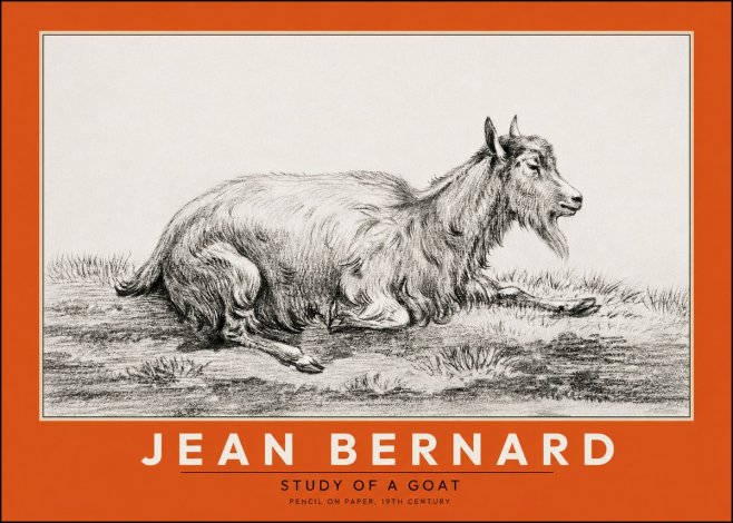 Jean Bernard Study of a Goat V No2 - Plakat