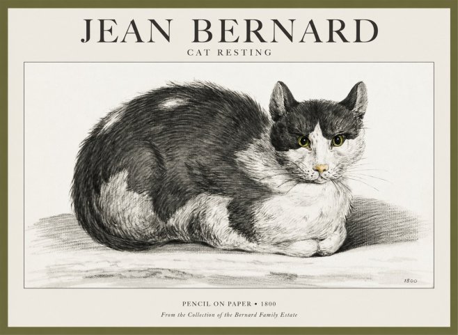 Jean Bernard Cat Resting No1 - Plakat