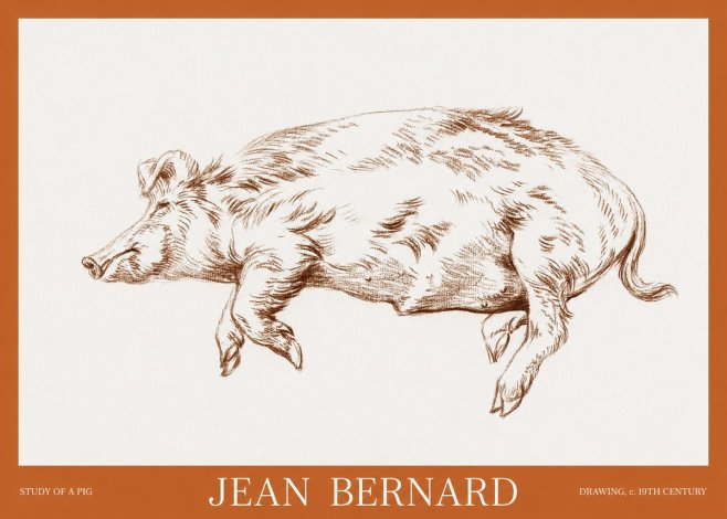 Jean Bernard Study of a Pig II No6 - Plakat