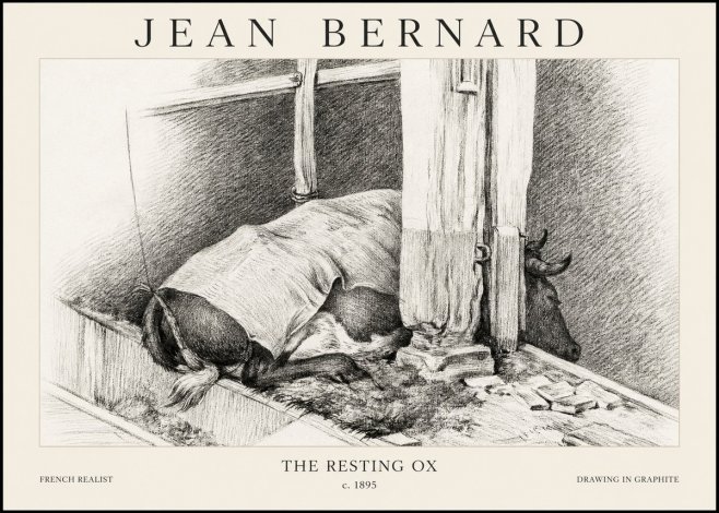 Jean Bernard The Resting Ox No1 - Plakat