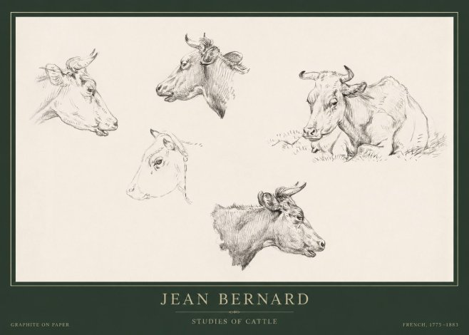 Jean Bernard Studies of Cows I No5 - Plakat