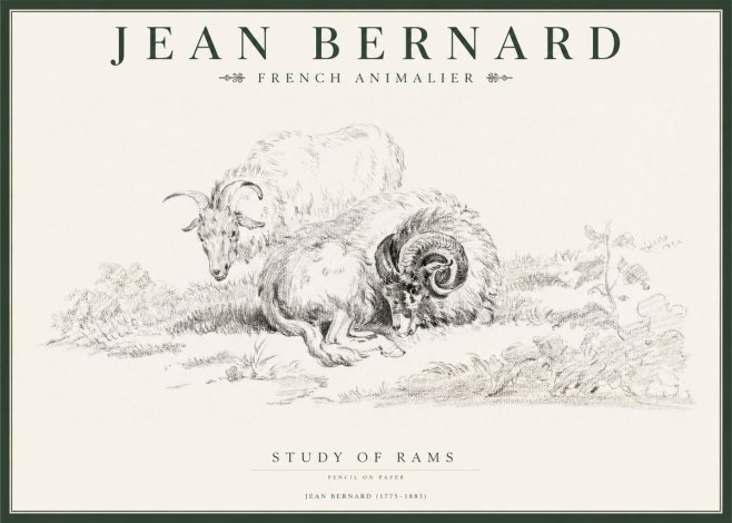 Jean Bernard Study of Sheep No2 - Plakat
