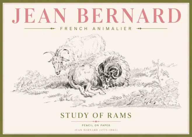 Jean Bernard Study of Sheep No5 - Plakat