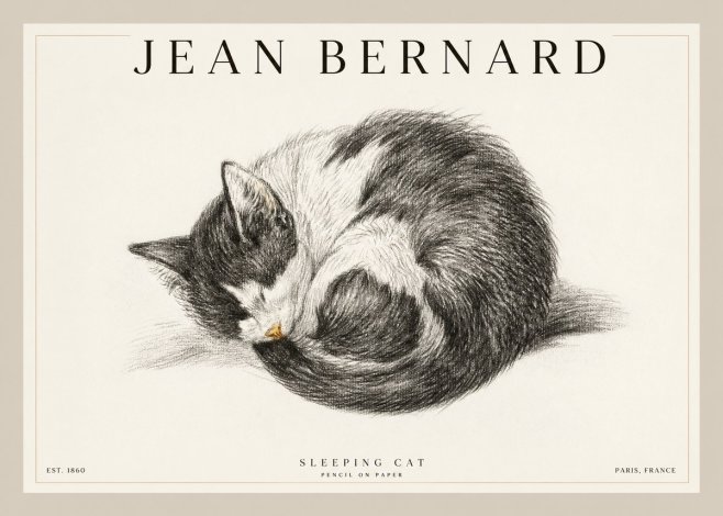 Jean Bernard Sleeping Cat VIII No2 - Plakat