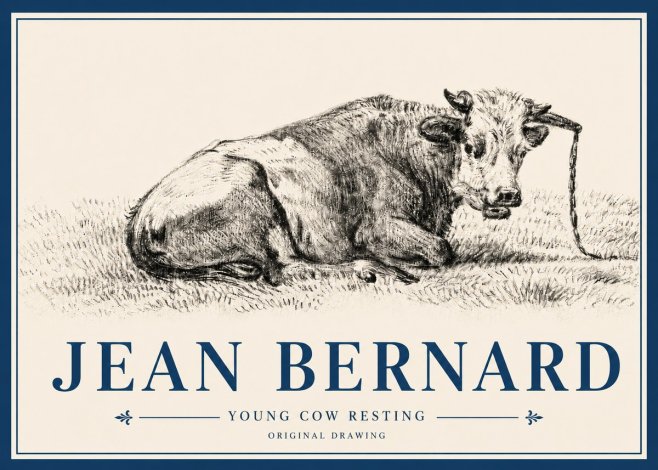 Jean Bernard Young Cow Resting No4 - Plakat