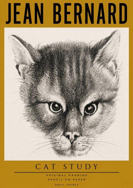 Jean Bernard Cat Study. Original Drawing No4 - Plakat