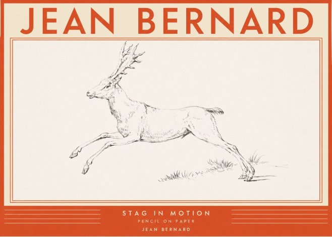 Jean Bernard Stag in Motion No2 - Plakat