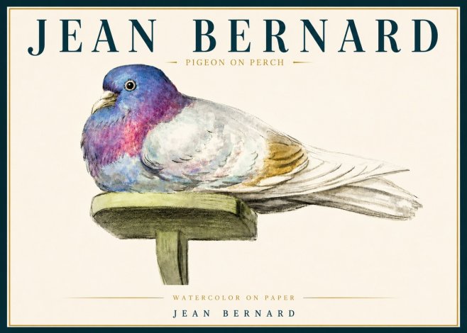 Jean Bernard Pigeon on Perch No5 - Plakat