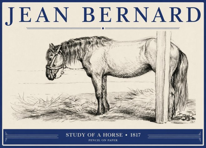 Jean Bernard Study of a Horse XII No2 - Plakat