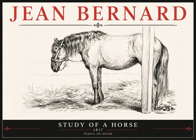Jean Bernard Study of a Horse XII No6 - Plakat