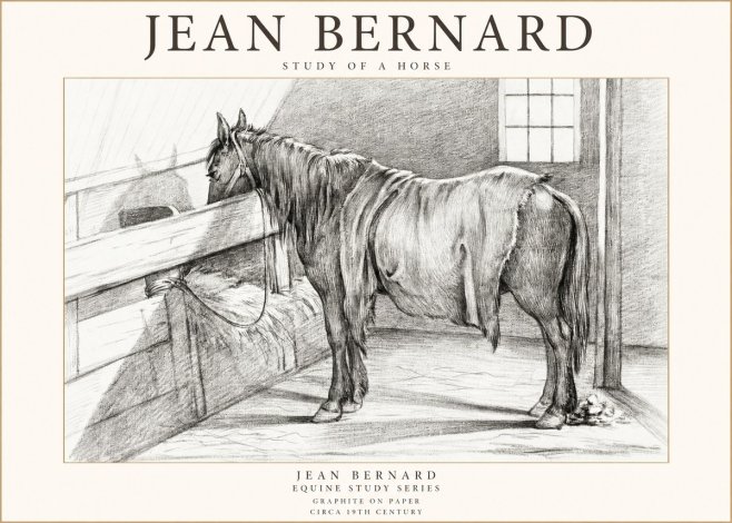 Jean Bernard Study of a Horse XIII No1 - Plakat
