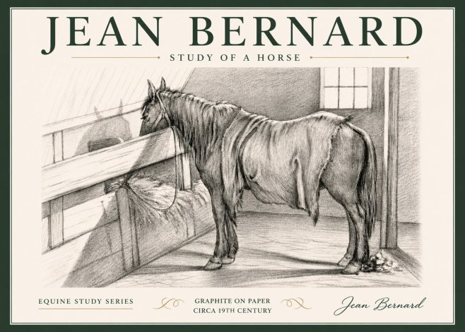 Jean Bernard Study of a Horse XIII No5 - Plakat