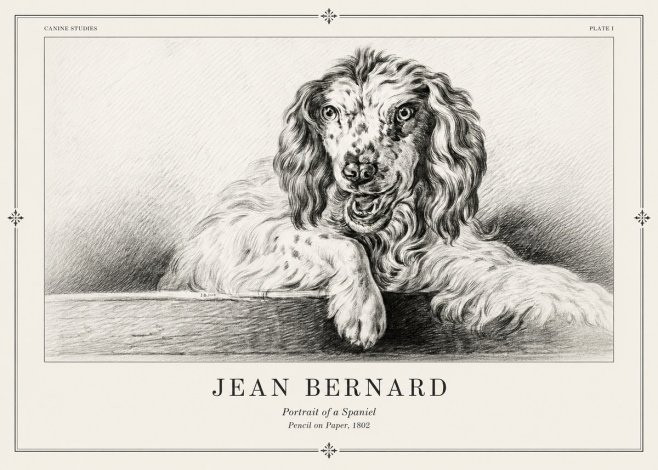 Jean Bernard Portrait of a Spaniel No2 - Plakat