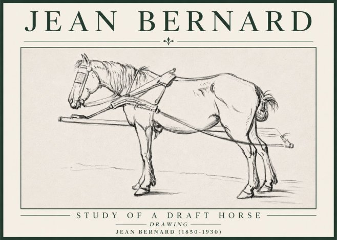 Jean Bernard Study of a Draft Horse II No4 - Plakat
