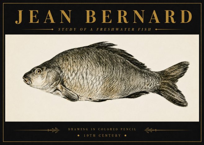 Jean Bernard Study of a Freshwater Fish No6 - Plakat