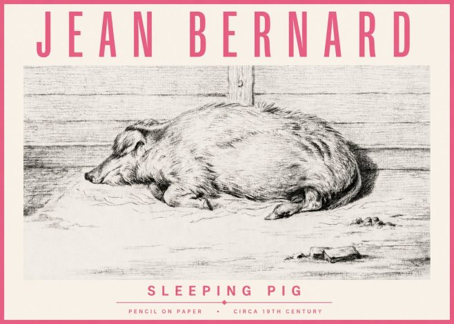 Jean Bernard Sleeping Pig I No4 - Plakat