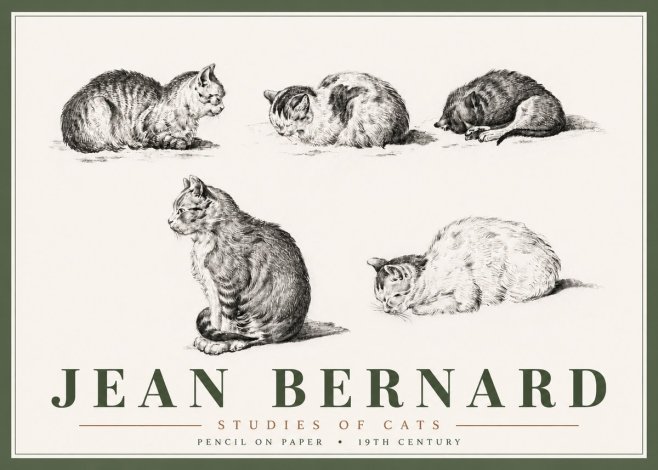 Jean Bernard Studies of Cats No6 - Plakat