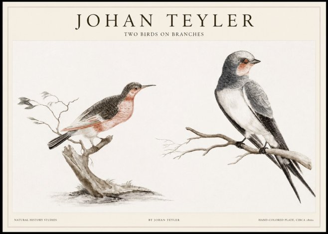 Johan Teyler Two Birds on Branches No1 - Plakat
