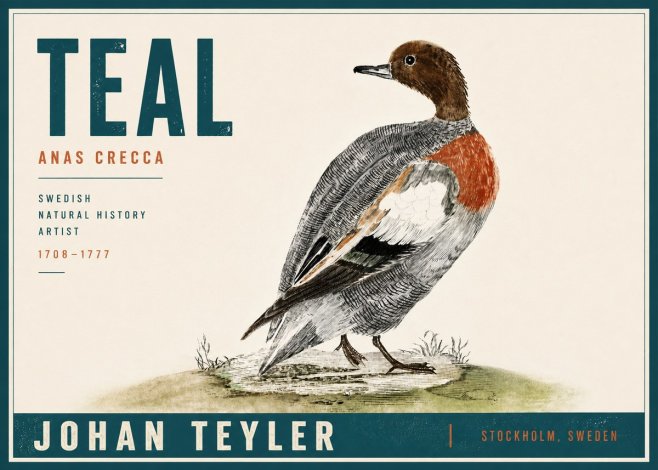 Johan Teyler Teal No5 - Plakat